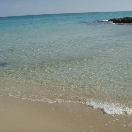 阿特兰提德露营酒店