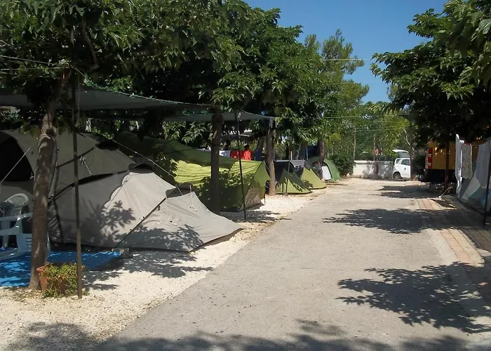 Holiday park Camping Atlantide 3*